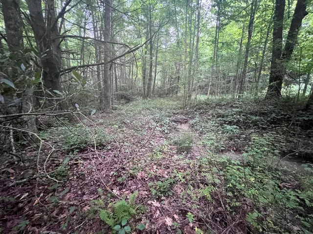 $149,500 | Tbd Tbd Nettle Patch, Norton, VA 24273
