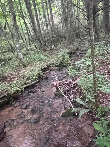 $149,500 | Tbd Tbd Nettle Patch, Norton, VA 24273