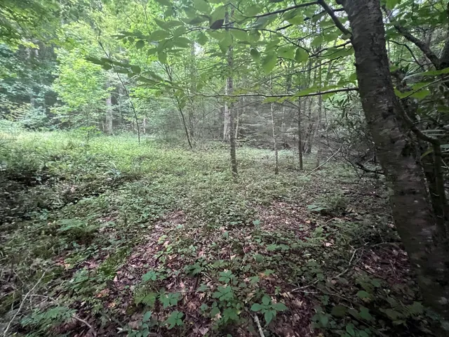 $149,500 | Tbd Tbd Nettle Patch, Norton, VA 24273