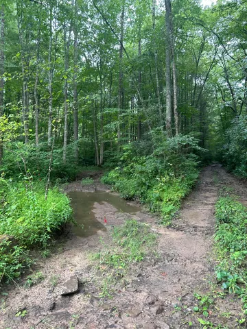 $149,500 | Tbd Tbd Nettle Patch, Norton, VA 24273