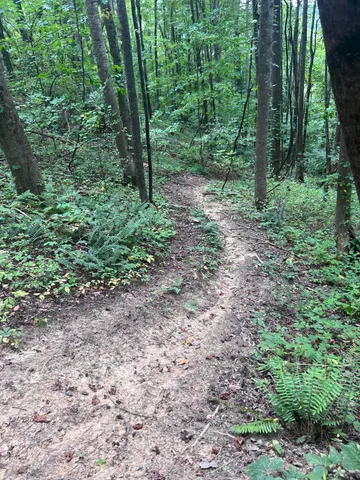 $149,500 | Tbd Tbd Nettle Patch, Norton, VA 24273