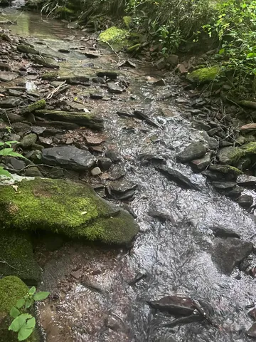 $149,500 | Tbd Tbd Nettle Patch, Norton, VA 24273