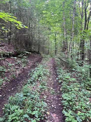 $149,500 | Tbd Tbd Nettle Patch, Norton, VA 24273