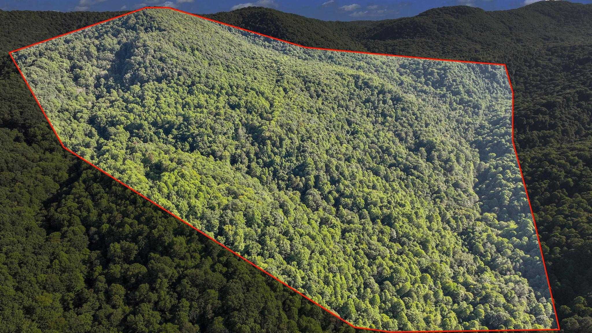Tbd Tbd Nettle Patch Norton, VA 24273 - Photo 3 of 26 DJI_0229pb