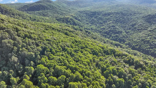 $149,500 | Tbd Tbd Nettle Patch, Norton, VA 24273