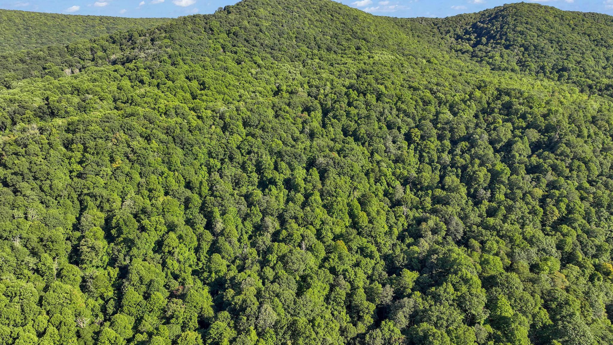 Tbd Tbd Nettle Patch Norton, VA 24273 - Photo 5 of 26 DJI_0250