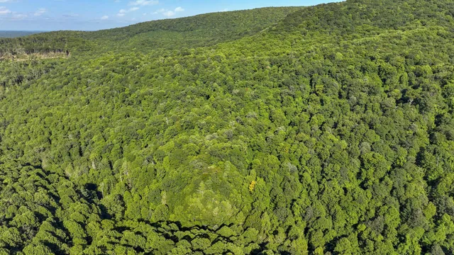 $149,500 | Tbd Tbd Nettle Patch, Norton, VA 24273