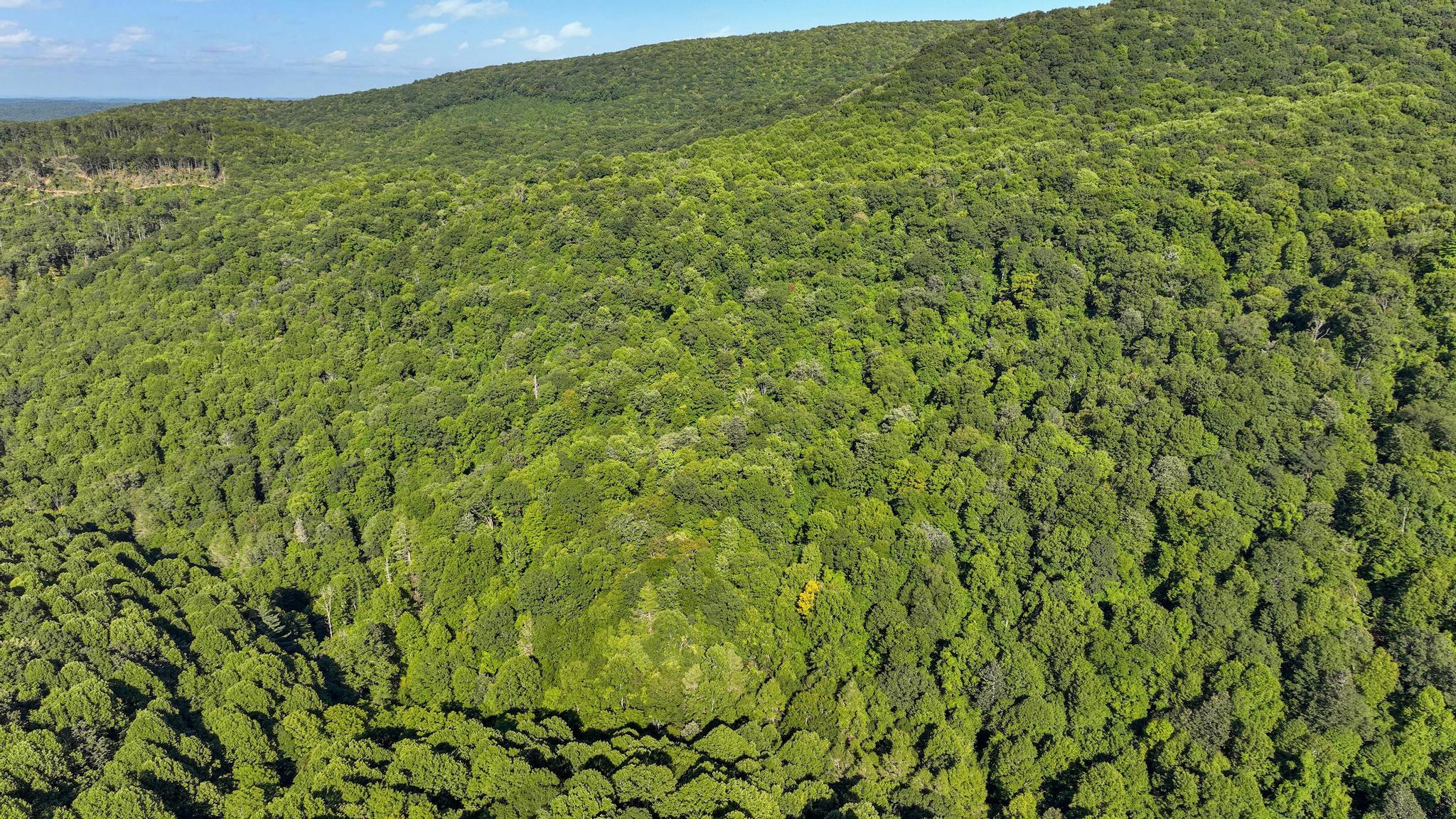 Tbd Tbd Nettle Patch Norton, VA 24273 - Photo 6 of 26 DJI_0255