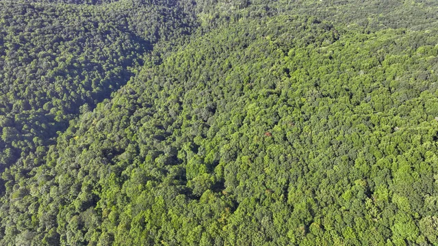 $149,500 | Tbd Tbd Nettle Patch, Norton, VA 24273