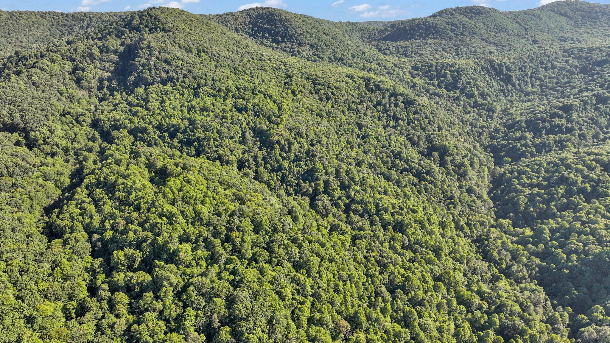 Tbd Tbd Nettle Patch Norton, VA 24273 - Photo 9 of 26 DJI_0229