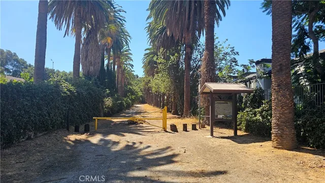 a view of a road with plants and trees