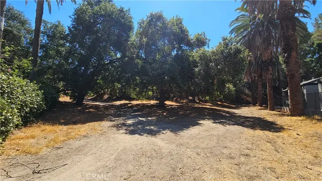 a view of a yard with a tree