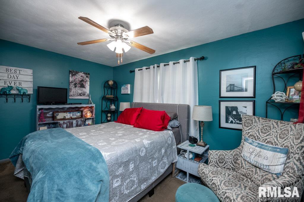 307 Hamilton Road Marquette Heights, IL 61554 - Photo 25 of 47 Gallery Image 25
