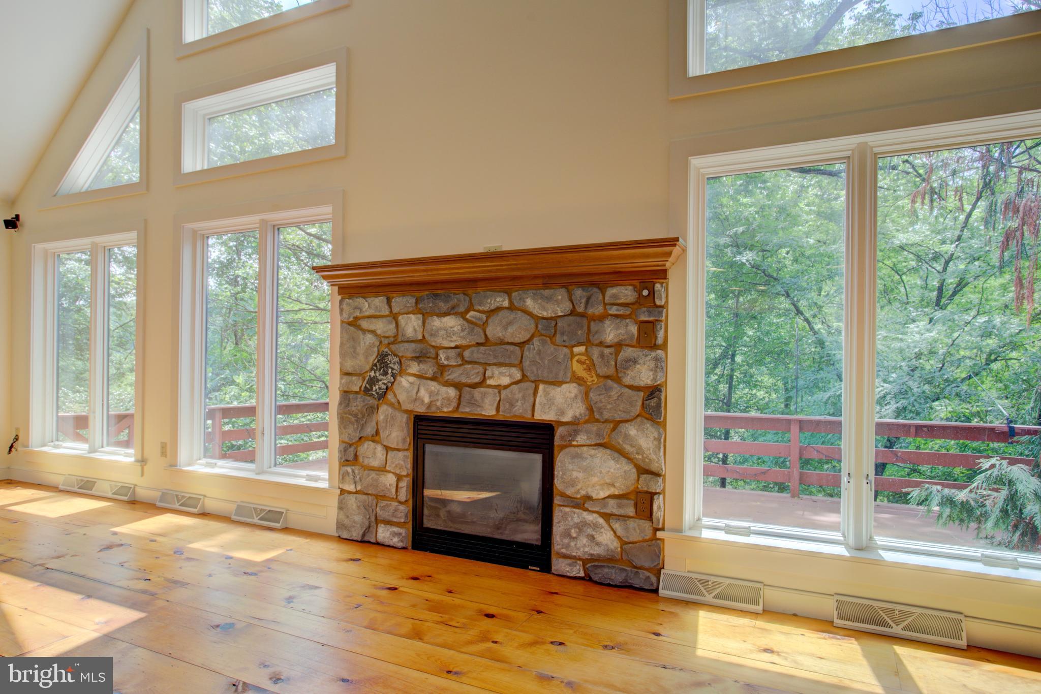 3264 Back Run Road Manheim, PA 17545 - Photo 8 of 74 A gas fireplace to warm the cool days to come.