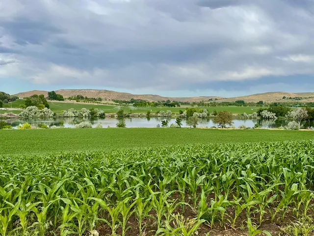 $3,500,000 | 1429 East Cleveland Avenue, Glenns Ferry, ID 83623