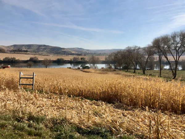 $2,300,000 | 1429 East Cleveland Avenue, Glenns Ferry, ID 83623