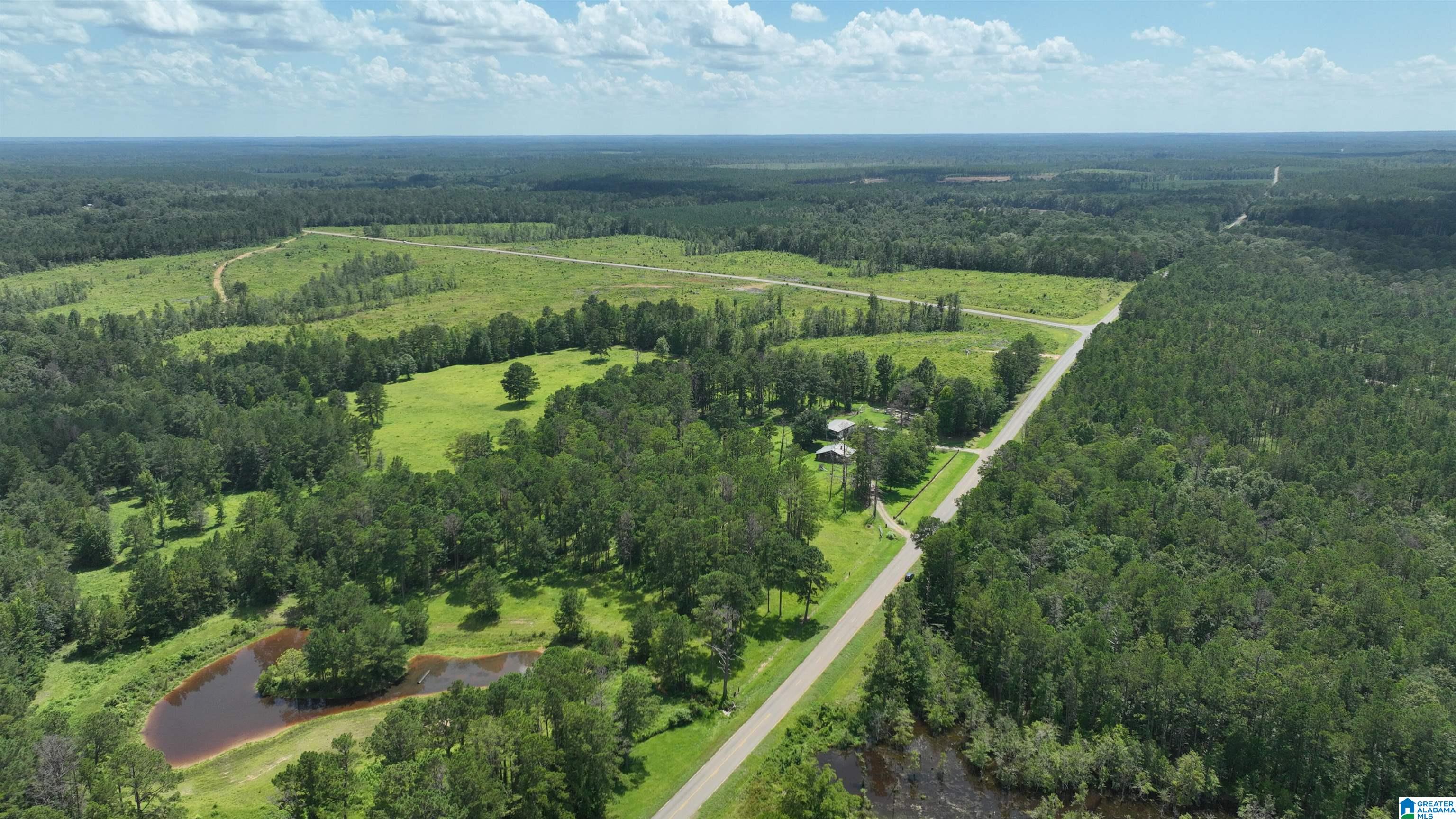0 South Shackleville Road Georgiana, AL 36033 - Photo 6 of 22