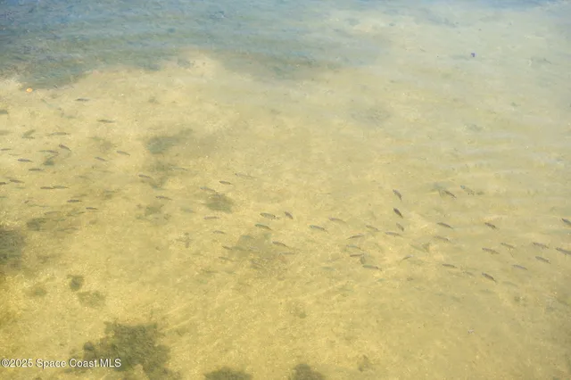 $1,675,000 | 3745 Indian River Drive, Cocoa, FL 32926