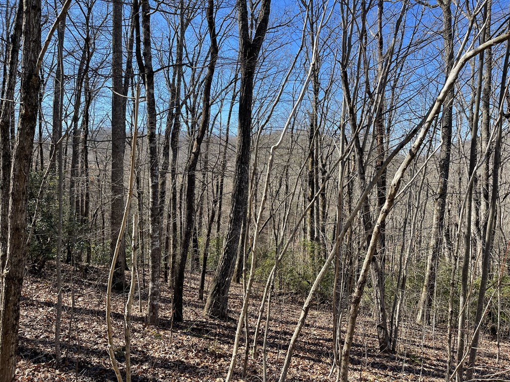 Lot #53 M Ridges Hayesville, NC 28904 - Photo 2 of 3