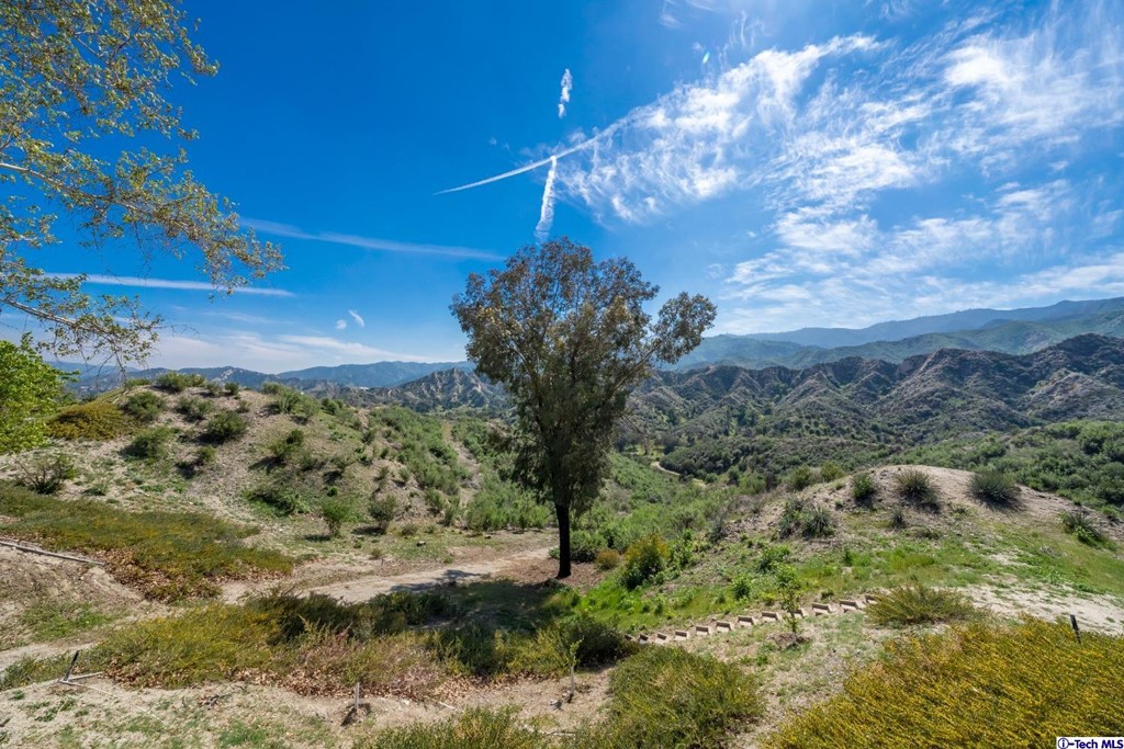 24718 Sagecrest Circle Newhall, CA 91381 - Photo 16 of 36 a view of a house with a yard