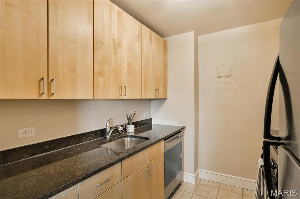 210 North 17th Street, Unit 411 St. Louis, MO 63103 - Photo 14 of 43