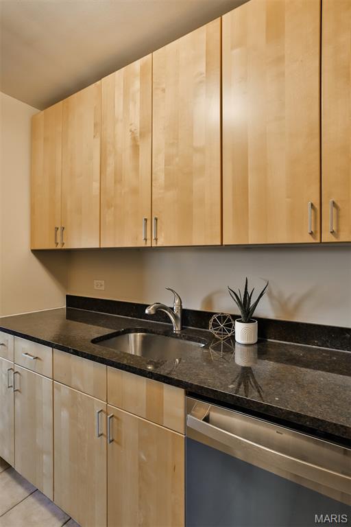 210 North 17th Street, Unit 411 St. Louis, MO 63103 - Photo 18 of 43