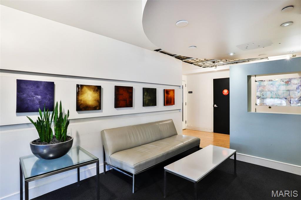 210 North 17th Street, Unit 411 St. Louis, MO 63103 - Photo 33 of 43