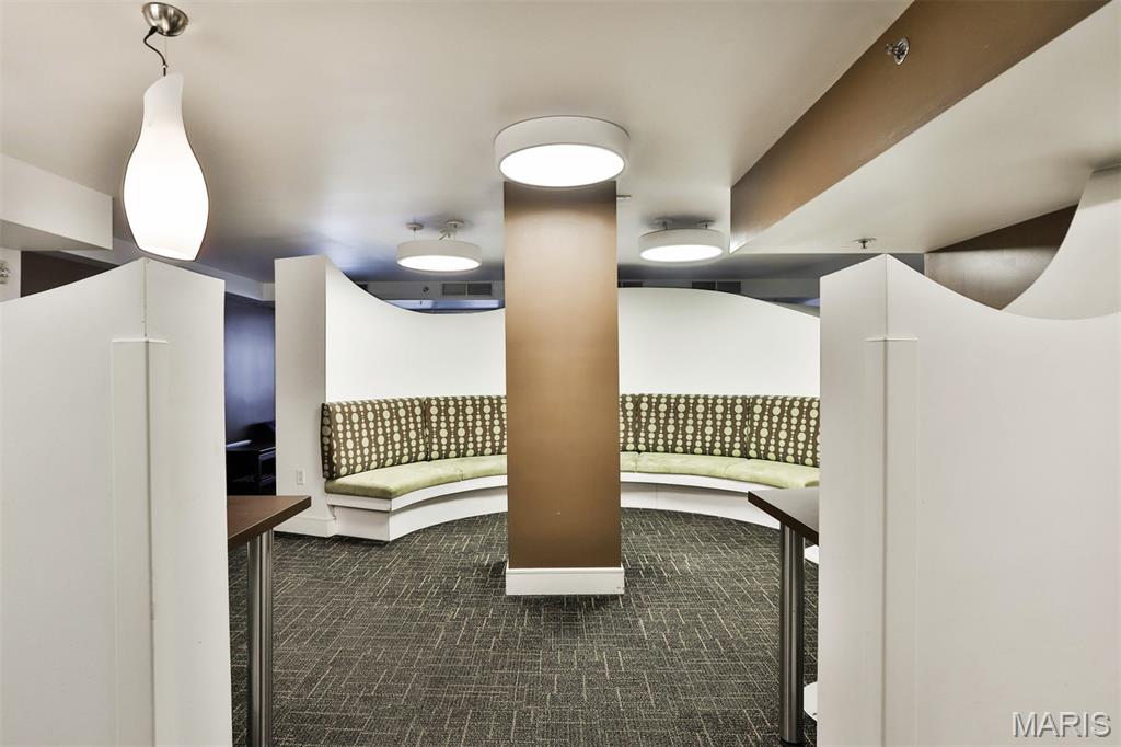 210 North 17th Street, Unit 411 St. Louis, MO 63103 - Photo 34 of 43