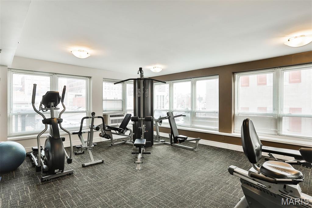 210 North 17th Street, Unit 411 St. Louis, MO 63103 - Photo 36 of 43