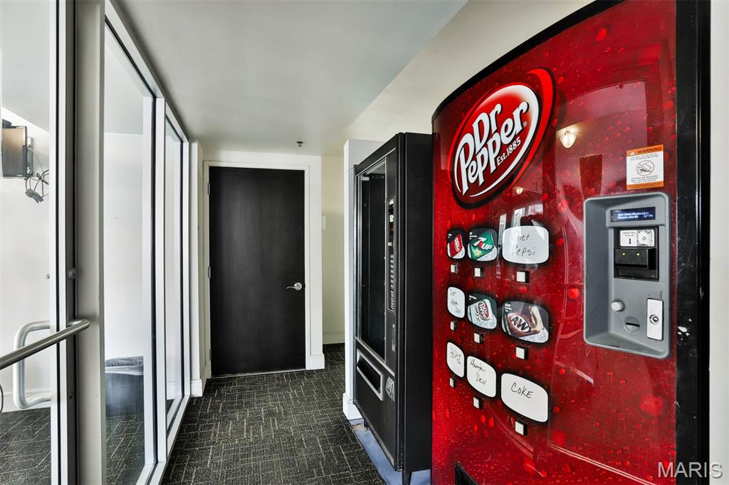 210 North 17th Street, Unit 411 St. Louis, MO 63103 - Photo 38 of 43