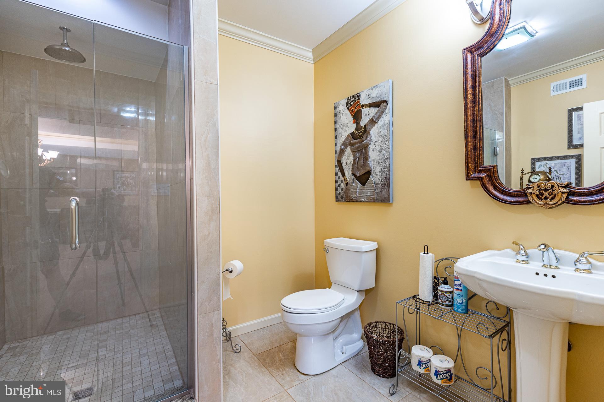 1454 Olmsted Drive Bear, DE 19701 - Photo 41 of 72 Lower level full bath