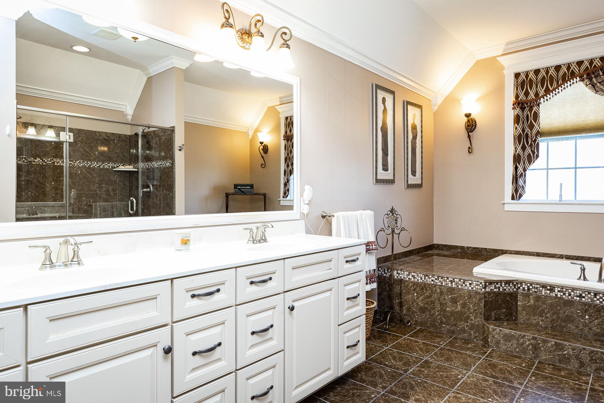 1454 Olmsted Drive Bear, DE 19701 - Photo 53 of 72 Owner's en suite bath