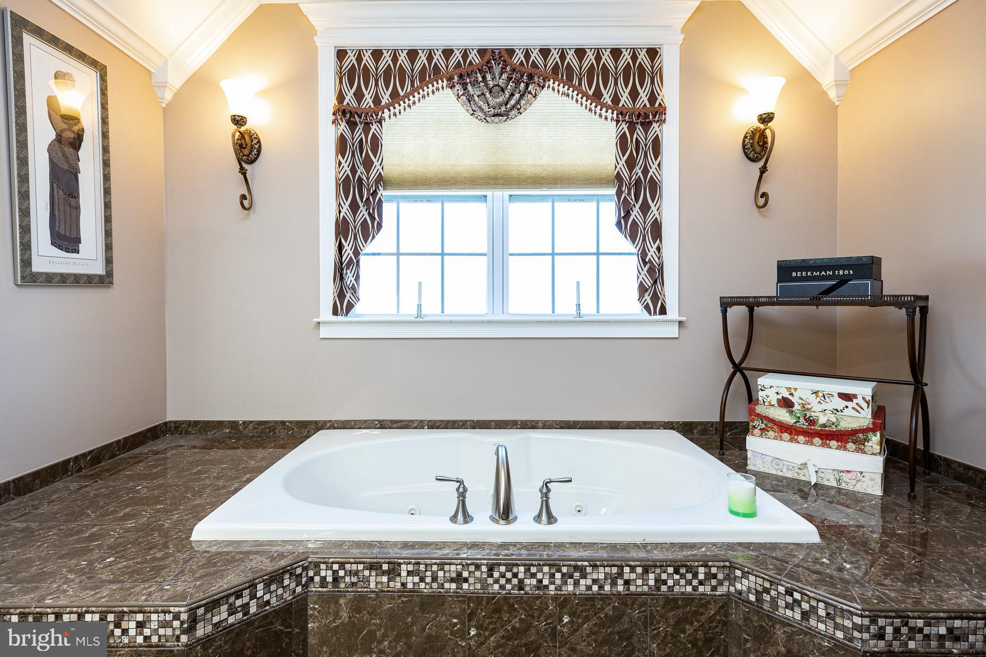 1454 Olmsted Drive Bear, DE 19701 - Photo 54 of 72 Jacuzzi tub