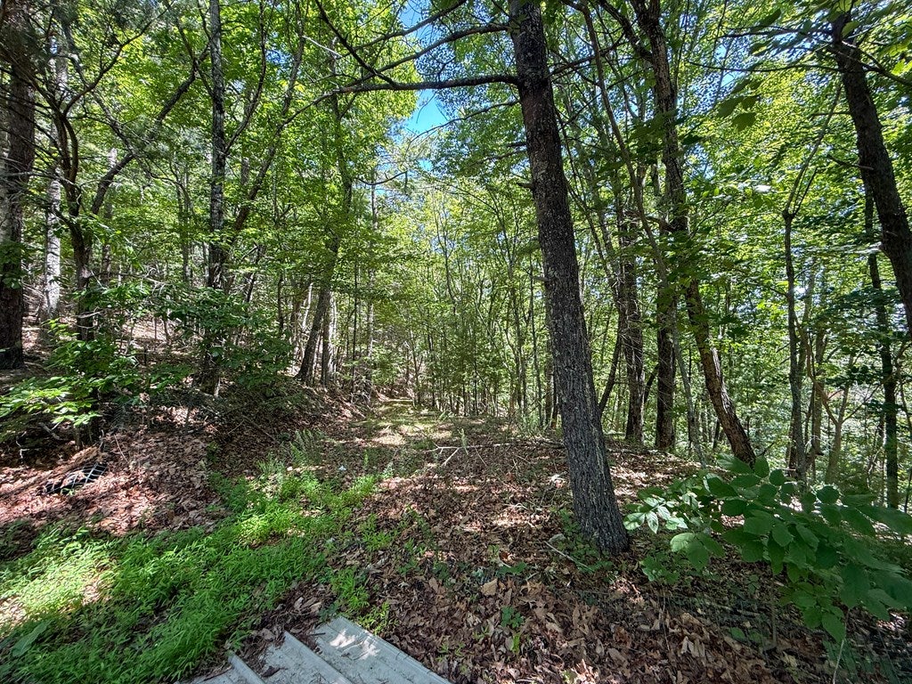 442 Slide Mountain Road Bland, VA 24315 - Photo 61 of 71 Gallery Image 61