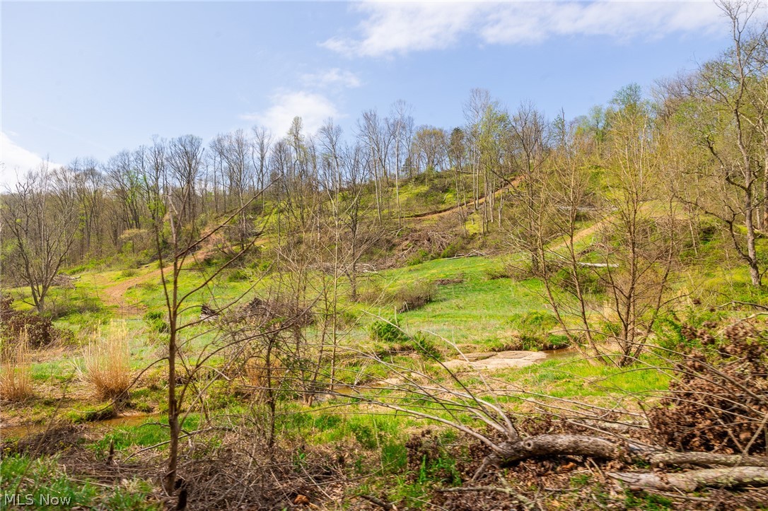 0 Twp Road, Unit 4 Whipple, OH 45788 - Photo 2 of 10