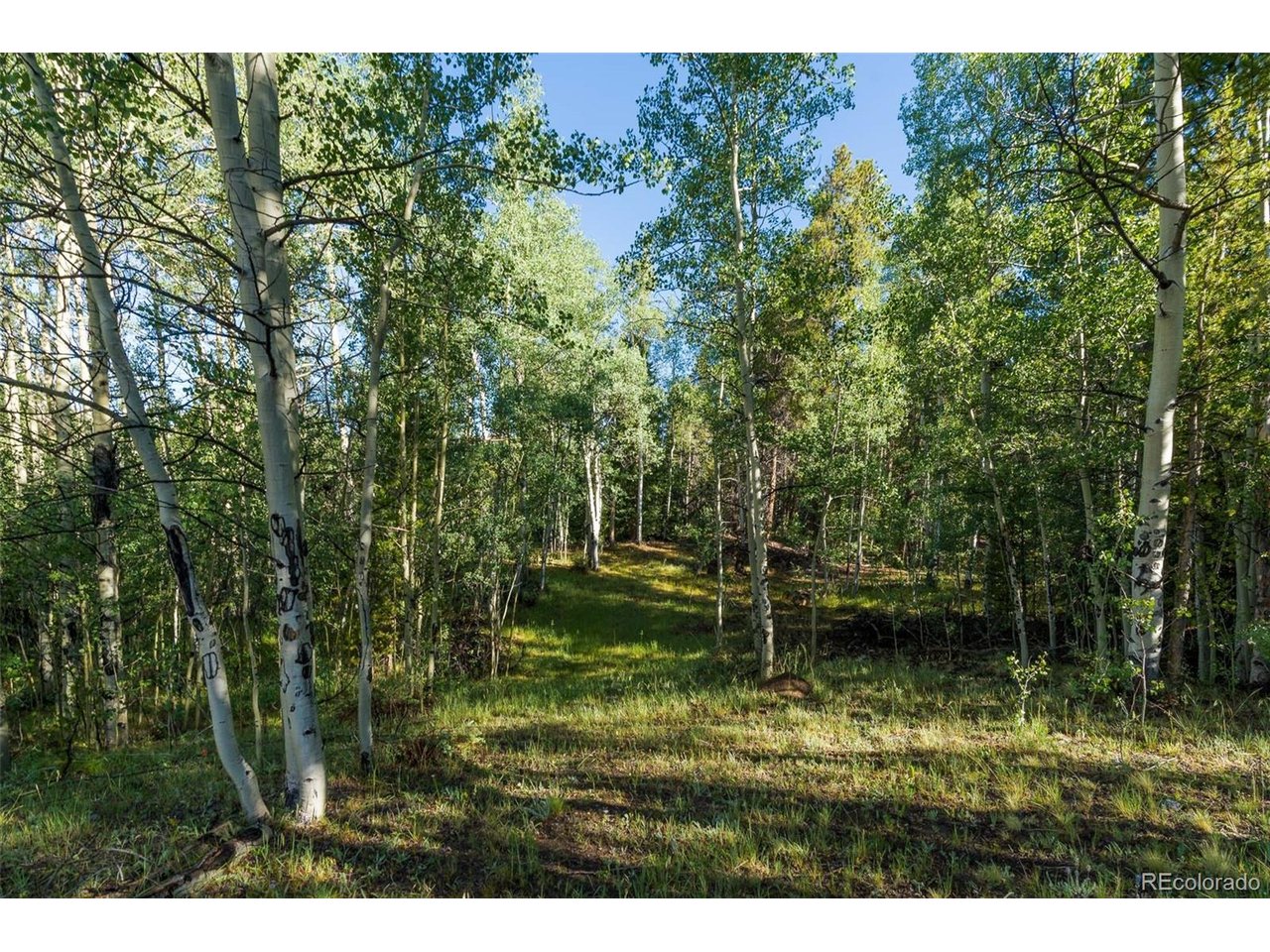1 Snow Cap Peaks Road Fairplay, CO 80440 - Photo 4 of 20