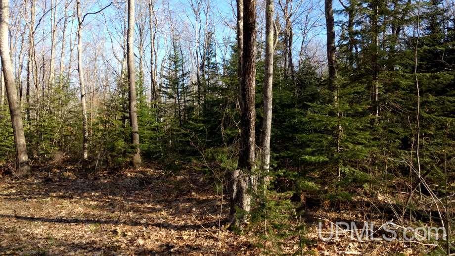 Tbd North Superior Road Atlantic Mine, MI 49905 - Photo 4 of 14 Gallery Image 4