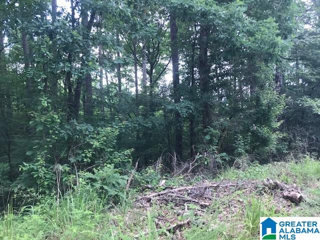 Mountain View Vance, AL 35490 - Photo 5 of 28