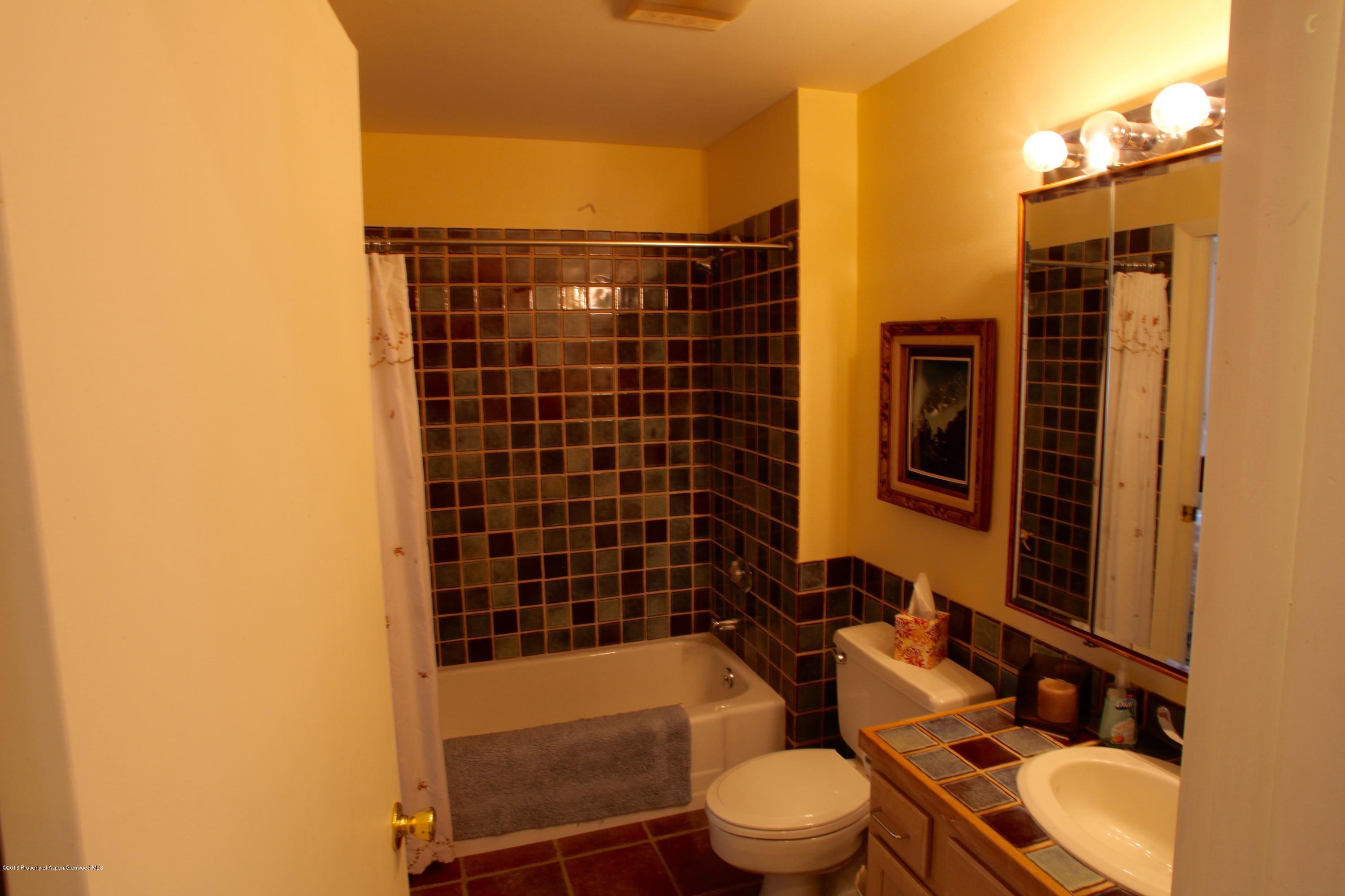 450 Redstone Boulevard Redstone, CO 81623 - Photo 16 of 16 a bathroom with a toilet a sink and shower
