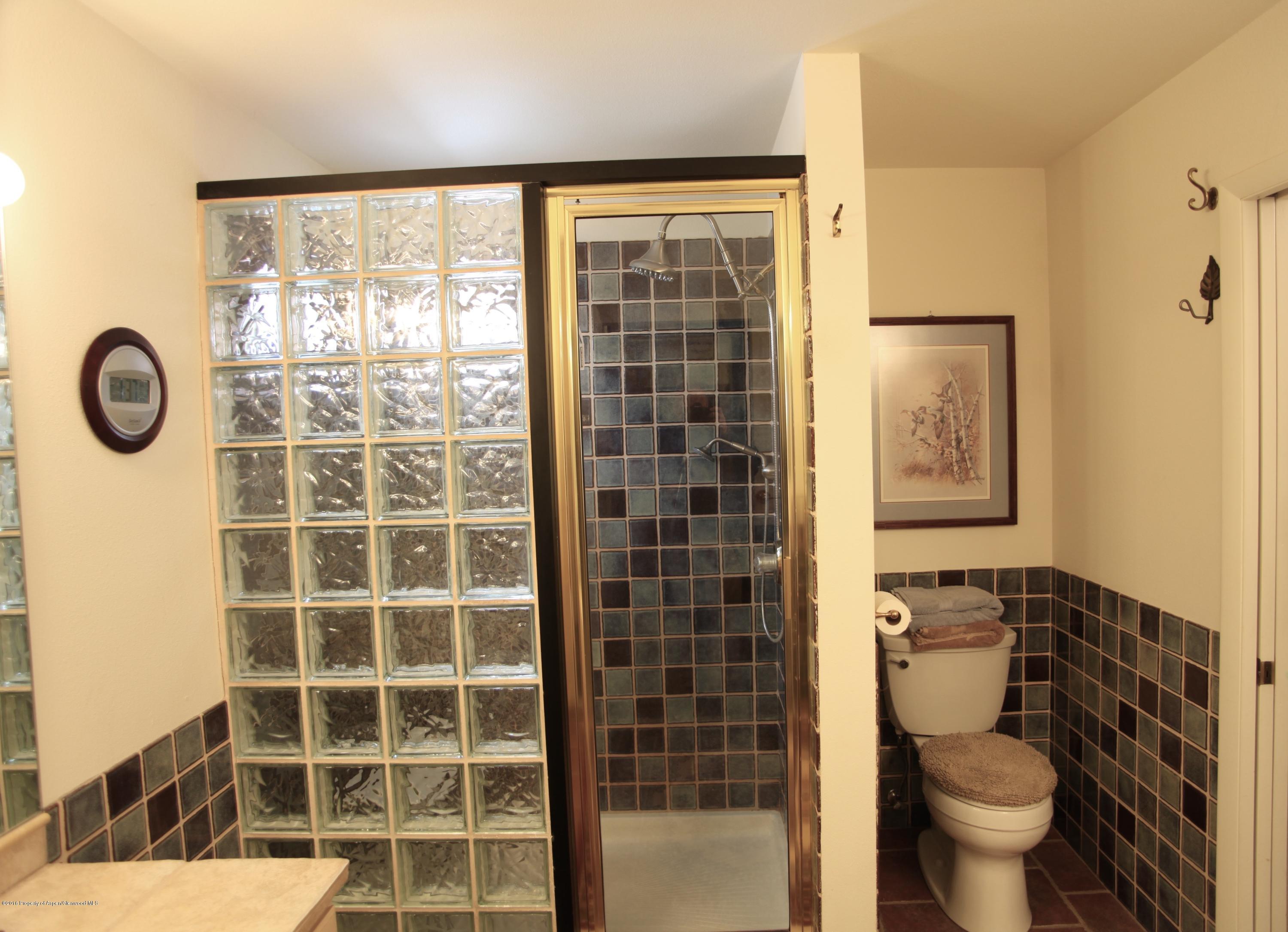 450 Redstone Boulevard Redstone, CO 81623 - Photo 8 of 16 a bathroom with a toilet and a shower