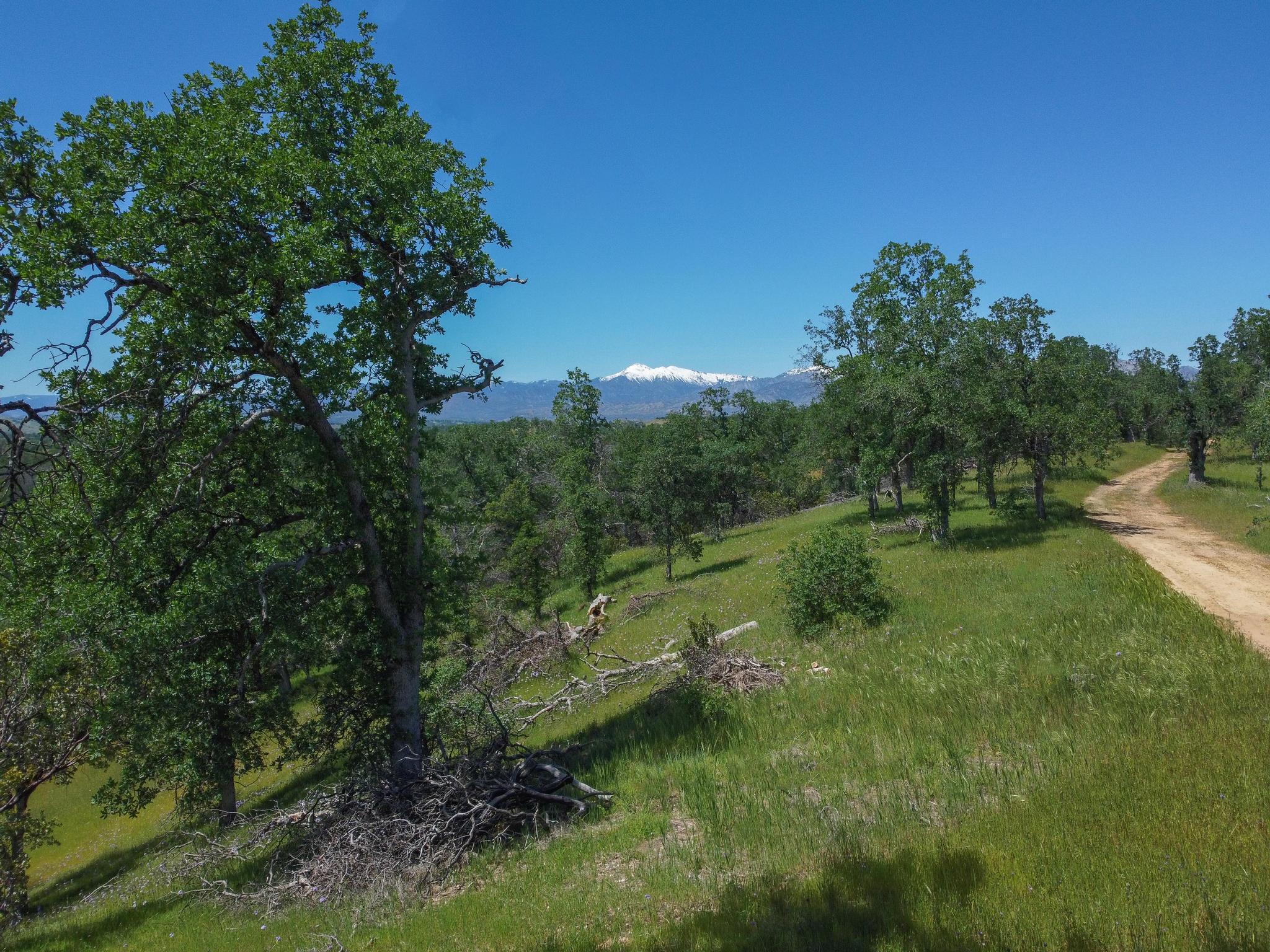 40 Two Feathers Road Igo, CA 96047 - Photo 8 of 16 DJI_0083-2