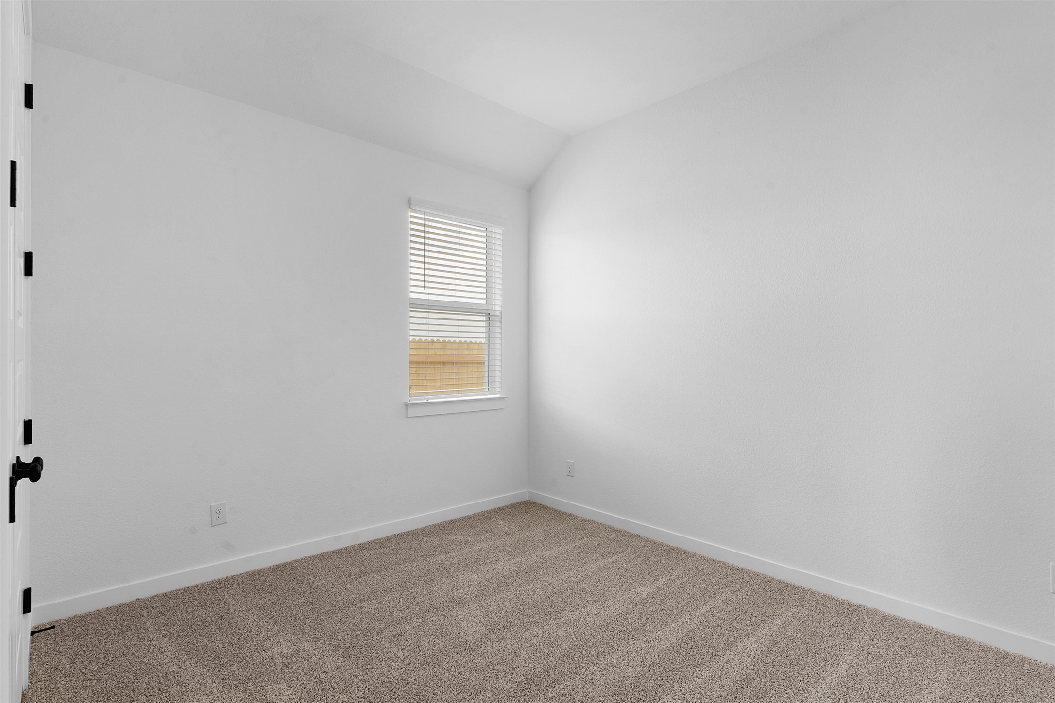 19504 Domino Champ Road Pflugerville, TX 78660 - Photo 6 of 24 Unfurnished room featuring vaulted ceiling and carpet