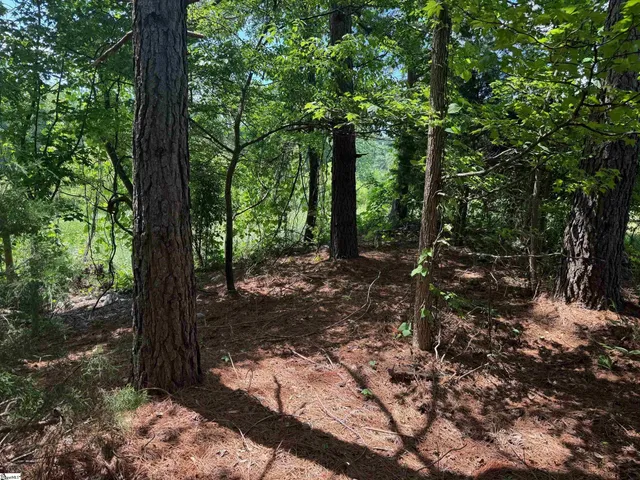 $350,000 | Toshes Creek Cir Union, Union, SC 29379