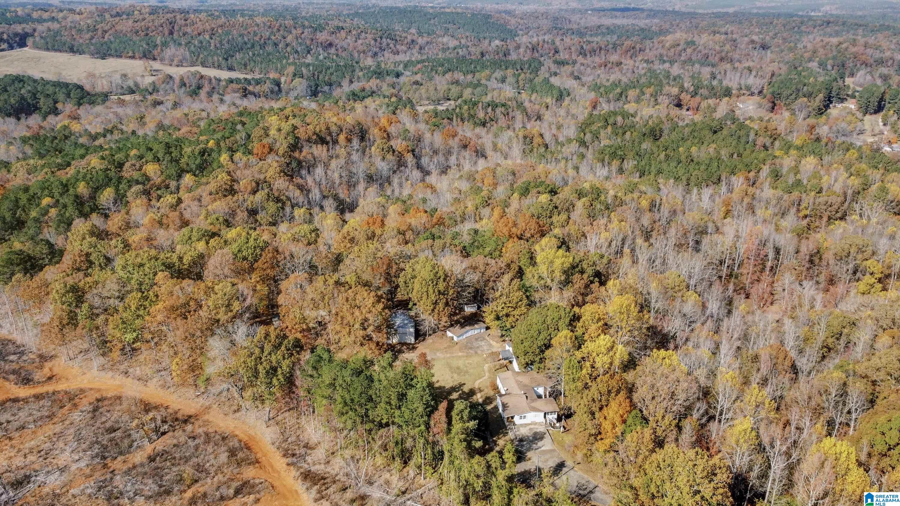 526 County Road 125 Heflin, AL 36264 - Photo 65 of 83