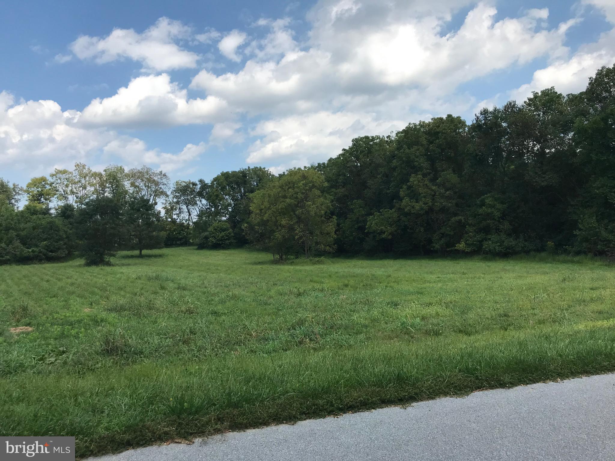 8317 Prophet Acres Road, Unit LOT 11 Fairplay, MD 21733 - Photo 4 of 4