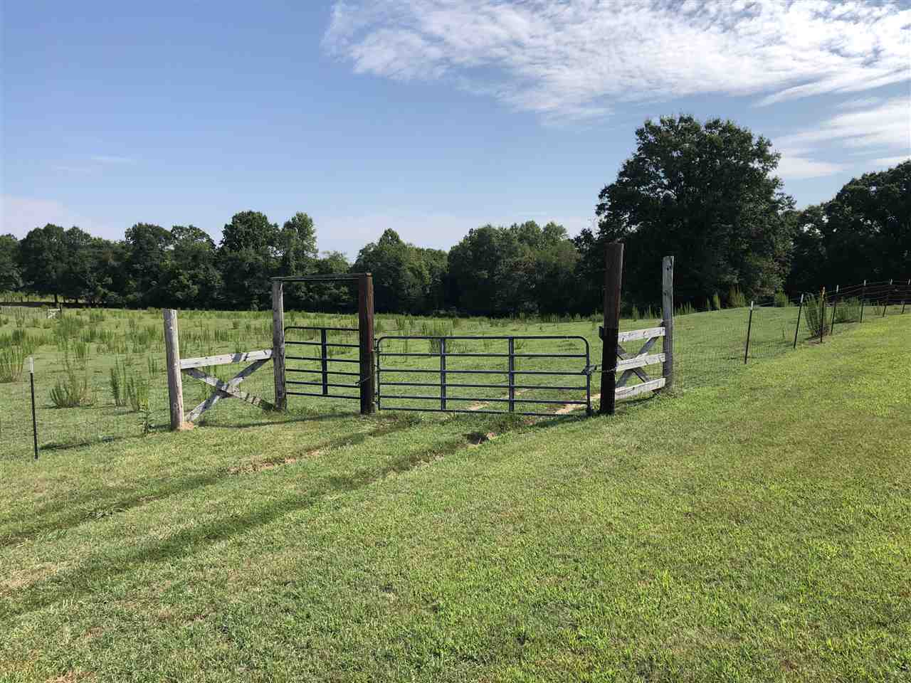 Arrowood Branch Road Chesnee, SC 29323 - Photo 3 of 19
