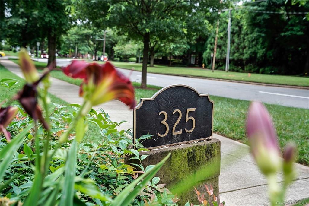 325 Queens Road, Unit 10 Charlotte, NC 28204 - Photo 36 of 41 Gallery Image 36