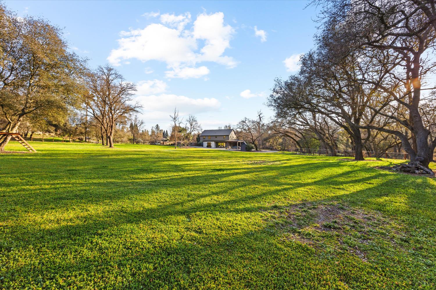 6620 Auburn Folsom Road Granite Bay, CA 95746 - Photo 62 of 69 a view of a big yard with a large trees