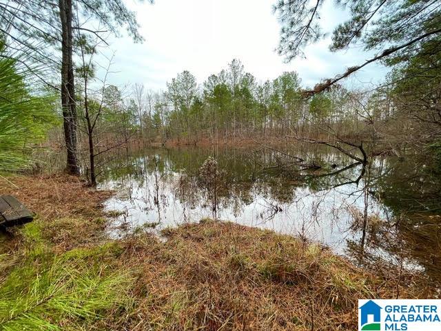 0 Deaver Walker Road Trafford, AL 35172 - Photo 15 of 28