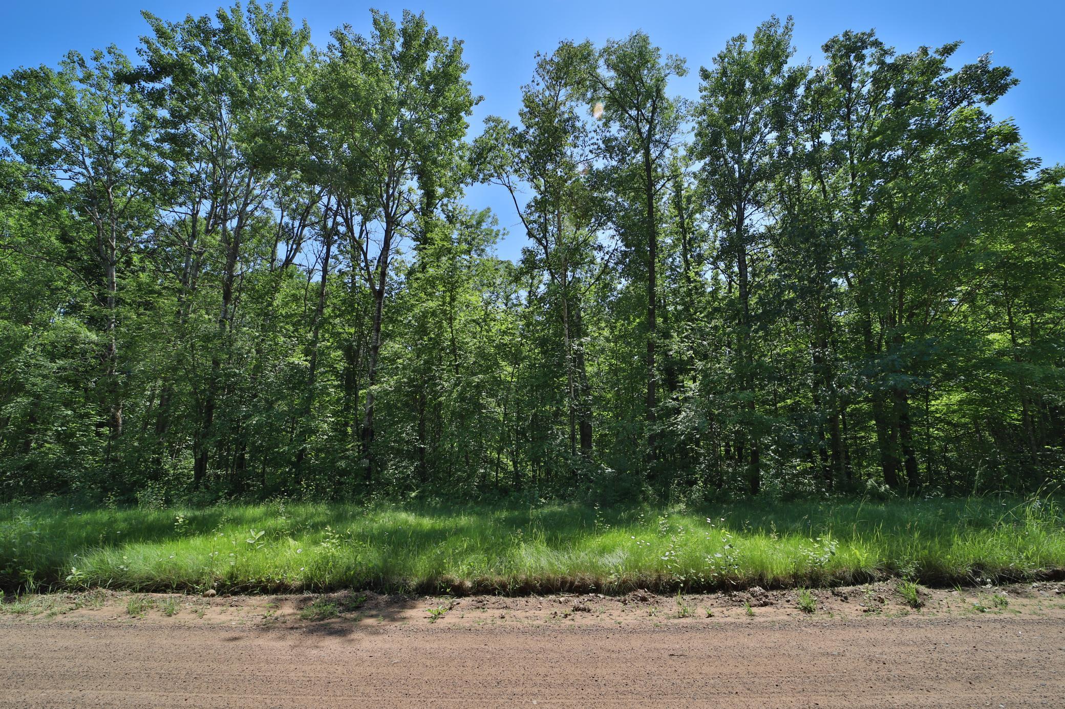 Tract C Olander Road Crosby, MN 56441 - Photo 4 of 12